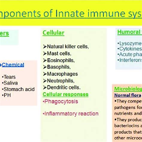 Updated details of innate immune system components | Download ...