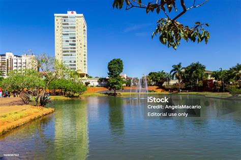 Ipiranga Environmental Park Stock Photo - Download Image Now - Beauty ...