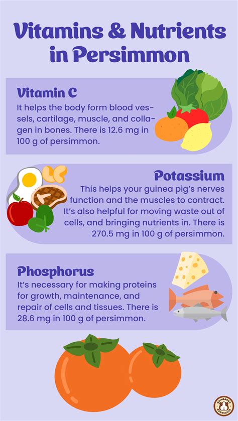 persimmon fruit benefits - Mad Mistery