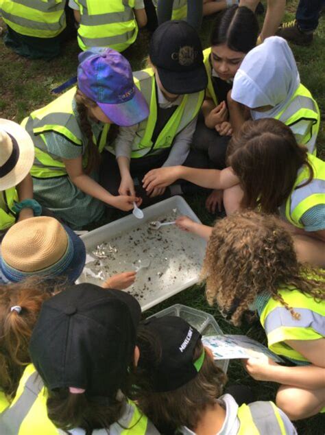 River Dipping Bristol Avon Rivers Trust