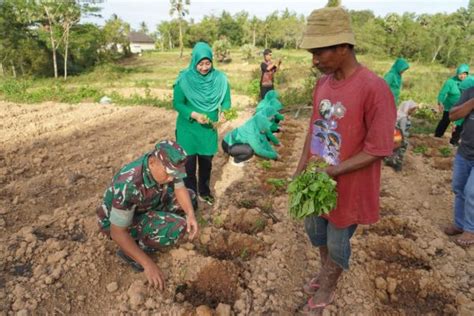 Kodim 0827 Sumenep Sulap Lahan Tidur 5 Hektare Jadi Kebun Cabe Rawit