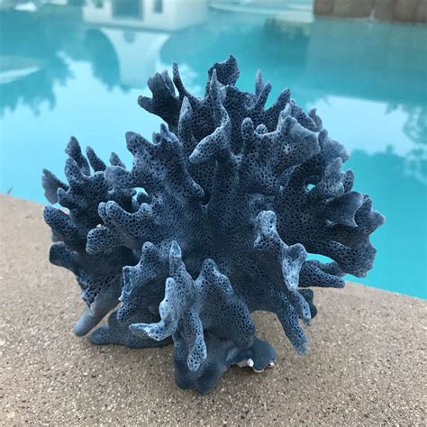 Natural Blue coral specimen now 59.95 beach decor coral home decor gift ...