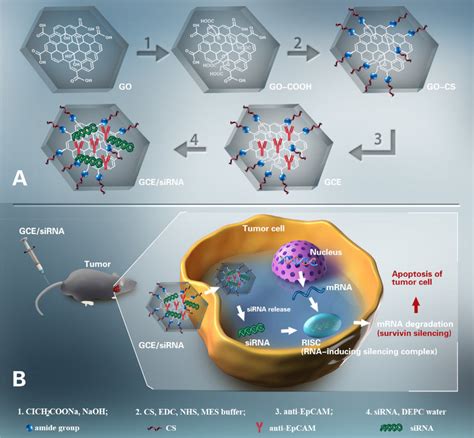 Scheme 1 -Schematic illustration of mechanisms and preparation of ...
