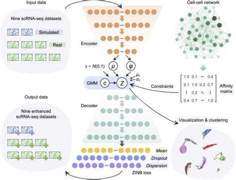 Cell Autocell Seq Cn