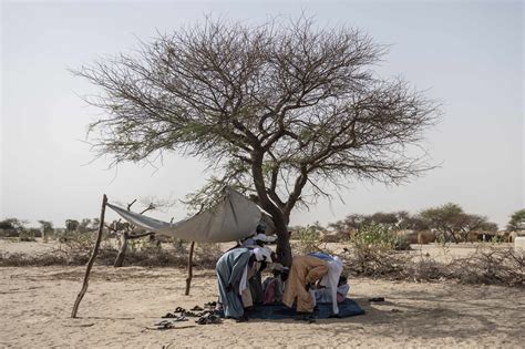 Dans la région du lac Tchad ces déplacés victimes dune crise