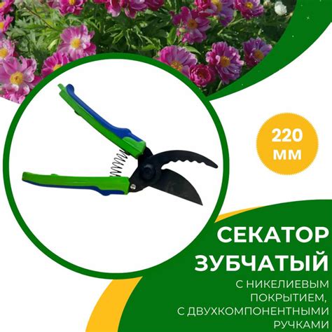 Характеристики Секатор ножницы садовые для сада дачи и огорода Веткорез ...