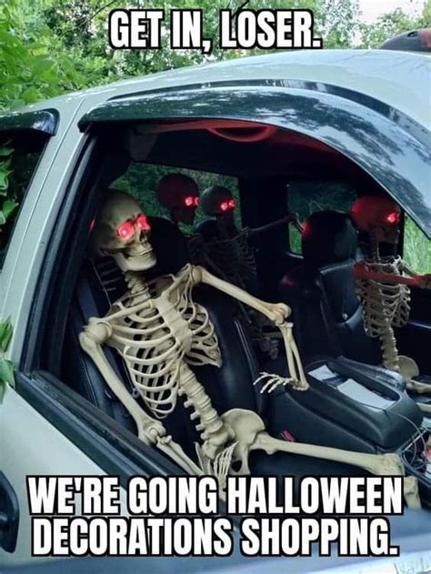 Pin by Dee Dee Boswell on Halloween | Halloween memes, Spooky memes, Halloween funny