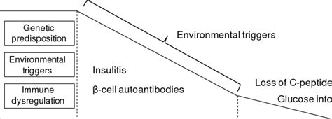 Schematic Illustration Of The Pathogenesis And Development Of Type