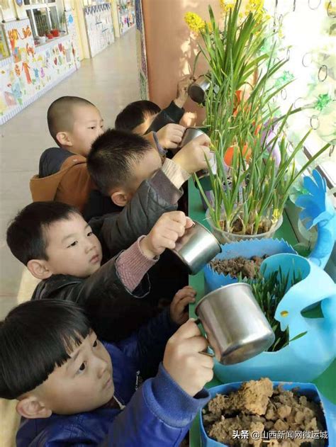 崇相西幼兒園 開展「綠色環保，從我做起」312植樹節活動 每日頭條