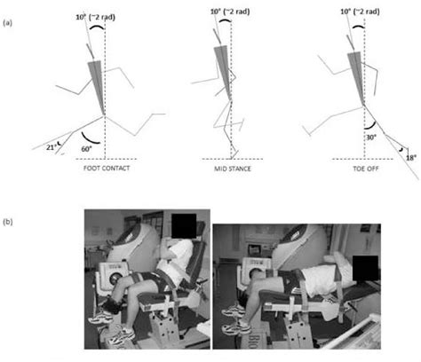 Figure From Knee Joint Strength Ratios And Effects Of Hip Position In