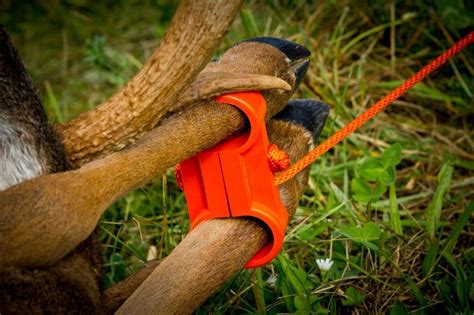 All In Outdoors The Orange Leg Cuff Deer Drag Hunting Accessories