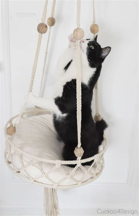 Cute DIY Cat Bed Using Macrame Cord Diy Cat Bed Macrame Patterns