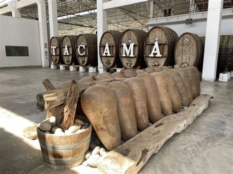 From Ica Or Huacachina Wine And Pisco Vineyards Tour Getyourguide