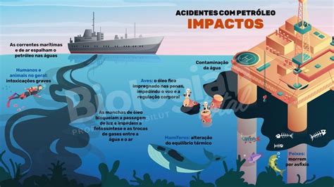 Impactos Socioambientais Da Extração De Petróleo - Os Impactos de Acidentes com Petróleo no ENEM | Engenharia ambiental ...