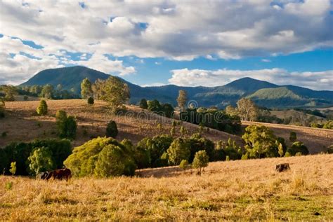 Nimbin, Australia, Rural Landscape Stock Image - Image of leaves, rural: 29716659