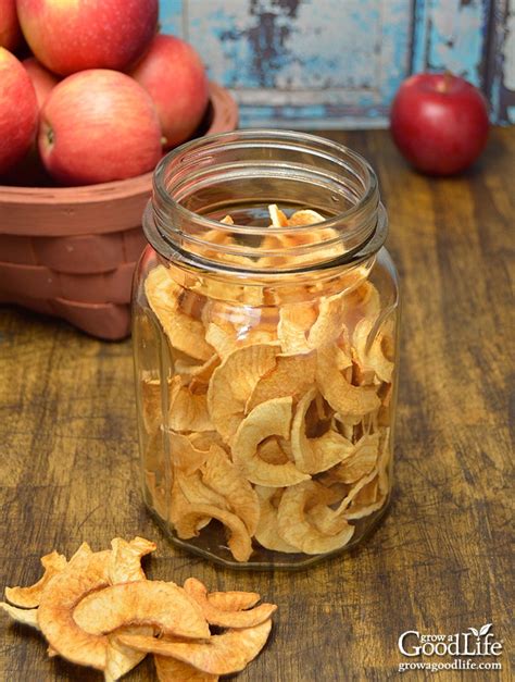 3 Ways to Dehydrate Apples for Food Storage