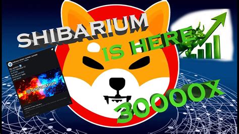 Shiba Inu Coin News Shibarium Release Date Announced Shibainucoin