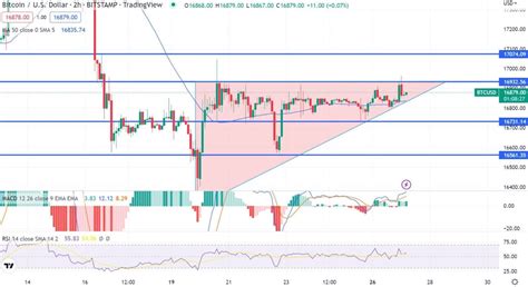 توقعات بيتكوين ظل تنبؤ أسعار البيتكوين محايدًا البيتكوين العربي