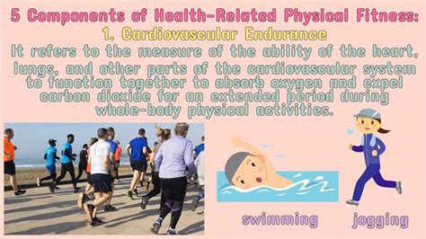 PE What Is A Health Related Physical Fitness Test IQuestionPH