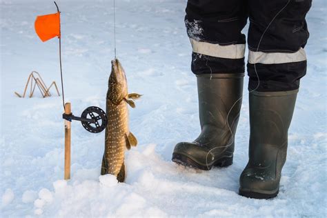 Best Tip Up Line For Ice Fishing Fishmasters