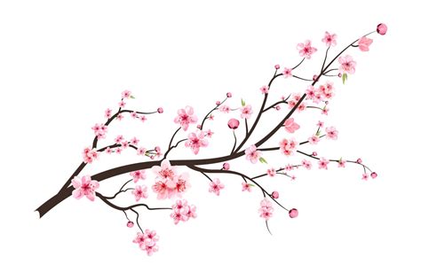 Pink Japanese Cherry Blossom Flower