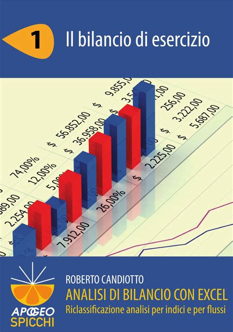 Analisi Di Bilancio Con Excel 1 Il Bilancio Di Esercizio Pdf Spicchi