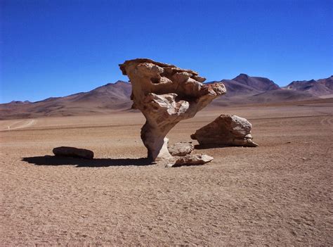 FEATURES OF WIND EROSION - online student resources 