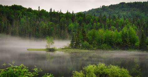 How is biodiversity affected by climate change?