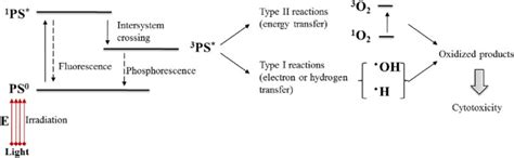 polymeric nanocarrier systems  photodynamic therapy springerlink