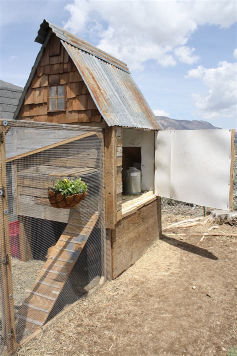 Rustic Coop BackYard Chickens Learn How To Raise Chickens