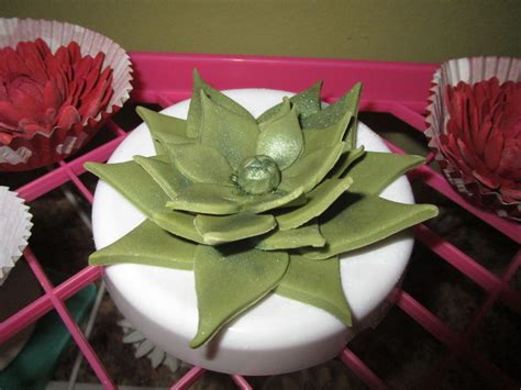 Naked Rustic Succulents Cake Cakecentral