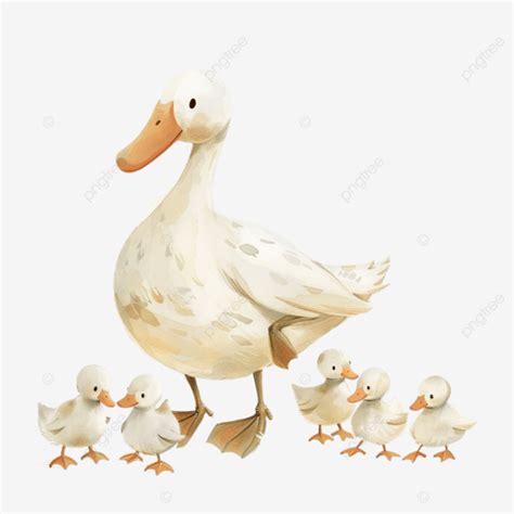 Swimming Baby Duck, Duck, Swimming, Ring PNG Transparent Image and ...