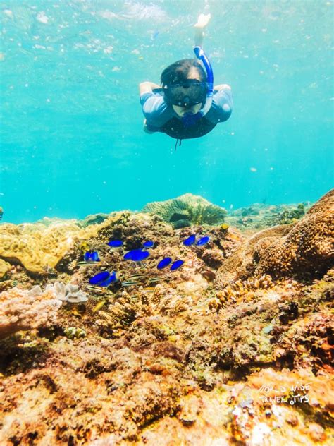 Snorkeling Costa Rica, a guide to the best spots