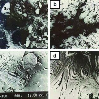 Reflected Light Optical A B And Electron Photomicrographs C D Of