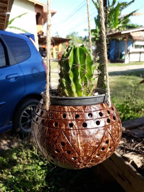 Hanging Planters Planter Pots Eco Decor Coconut Shell Handicraft