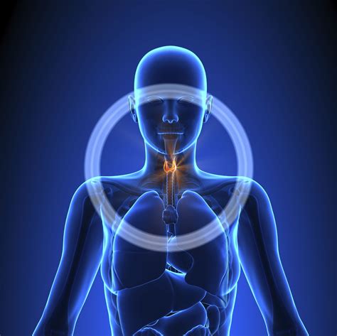 Thyroid Cancer: Signs, Symptoms, and Complications