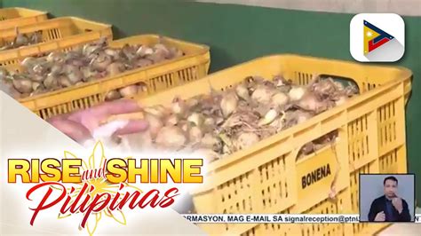 Presyo Ng Puting Sibuyas Sa Kadiwa Store Sa QC Bumaba Pa Sa P150 Kg