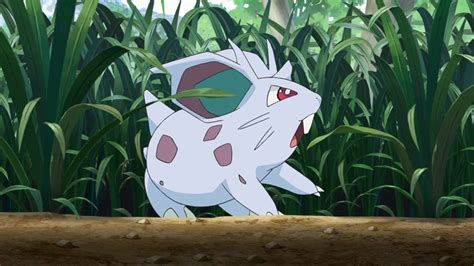 25 Fun And Fascinating Facts About Nidoran♀ From Pokemon Tons Of Facts