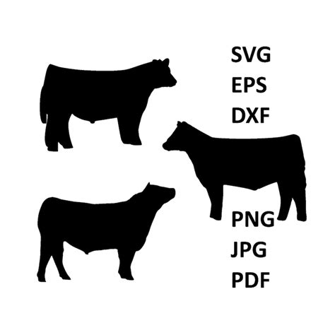 Show Steer Svg Cut Files Silhouette Clipart Sticker Stencils Svg