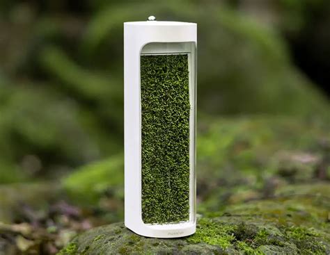 Moss Air Desktop-Sized Purifier and Humidifier in One - Tuvie Design