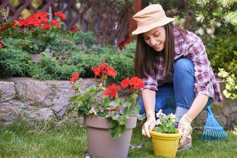 How to Take Care of Begonias (Indoor & Outdoor) | Bouqs Blog