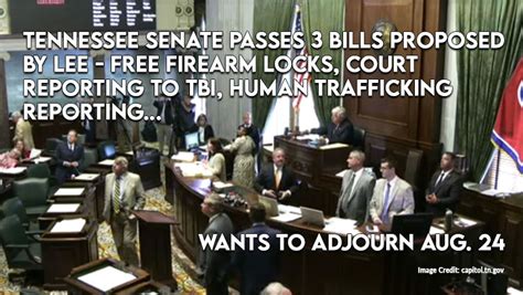 Tennessee Senate Passes 3 Bills Proposed By Lee Free Firearm Locks