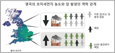 초미세먼지 잠자는 폐암 유발 세포를 깨운다