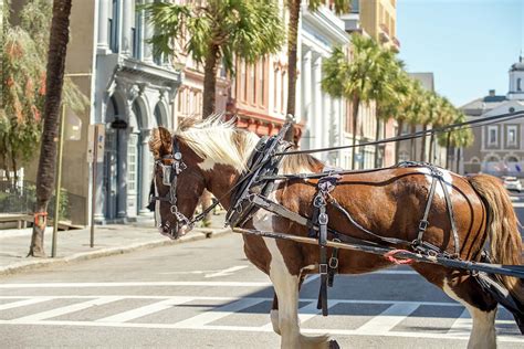 Historic Charleston South Carolina Downtown Scenery Photograph By Alex