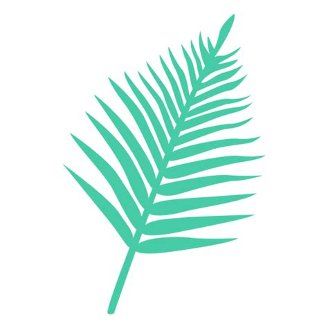 Dise O Png Y Svg De Silueta Tropical De Hoja De Palma Para Camisetas