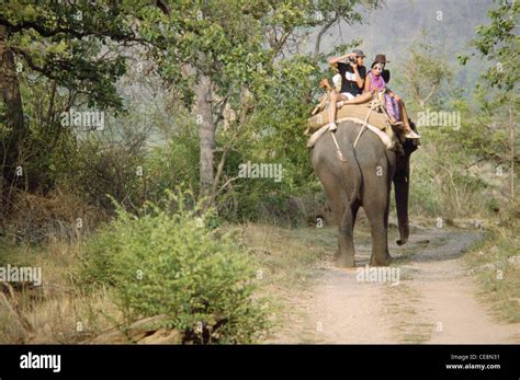 Indian tourists Elephant ride in Jim Corbett National Park Uttarakhand ...