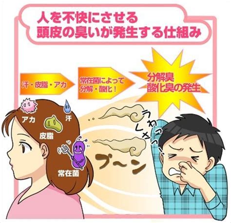 頭皮の臭い対策にシャンプーを使う方は多でしょう。でもしばらく経つとあの独特の刺激臭がツーン！という事ないですか？実は頭皮の臭いの原因はあるもの