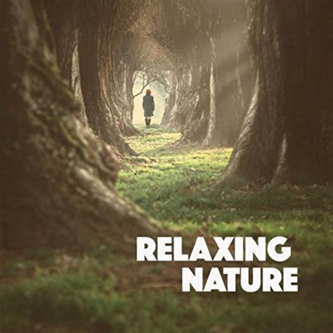 Relaxing Nature By Relaxing Rain Sounds Deep Sleep Rain Sounds And