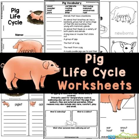 printable pig worksheets printable worksheets