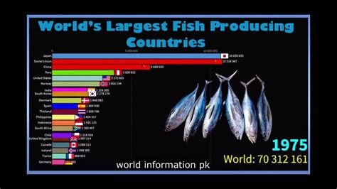 Worlds Largest Fish Producing Countries Youtube